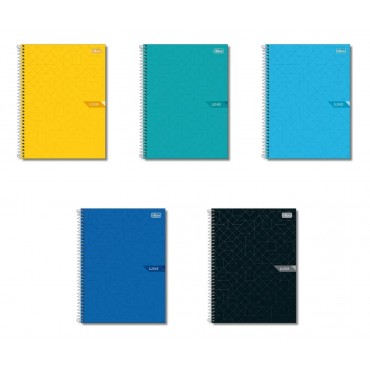 Caderno Capa Dura 10 Matérias 160F Lunix 