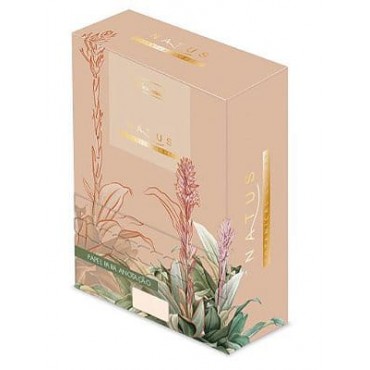 Bloco Anotações Caixa Natus NAC02 Cadersil Bloco Anotações Caixa Natus NAC02 Cadersil